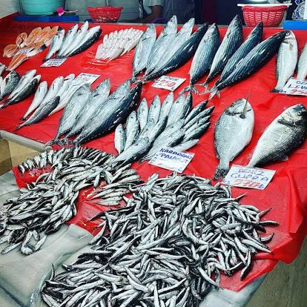 Karadeniz'den Fışkırıyor : Rusya tonlarca almaya başladı